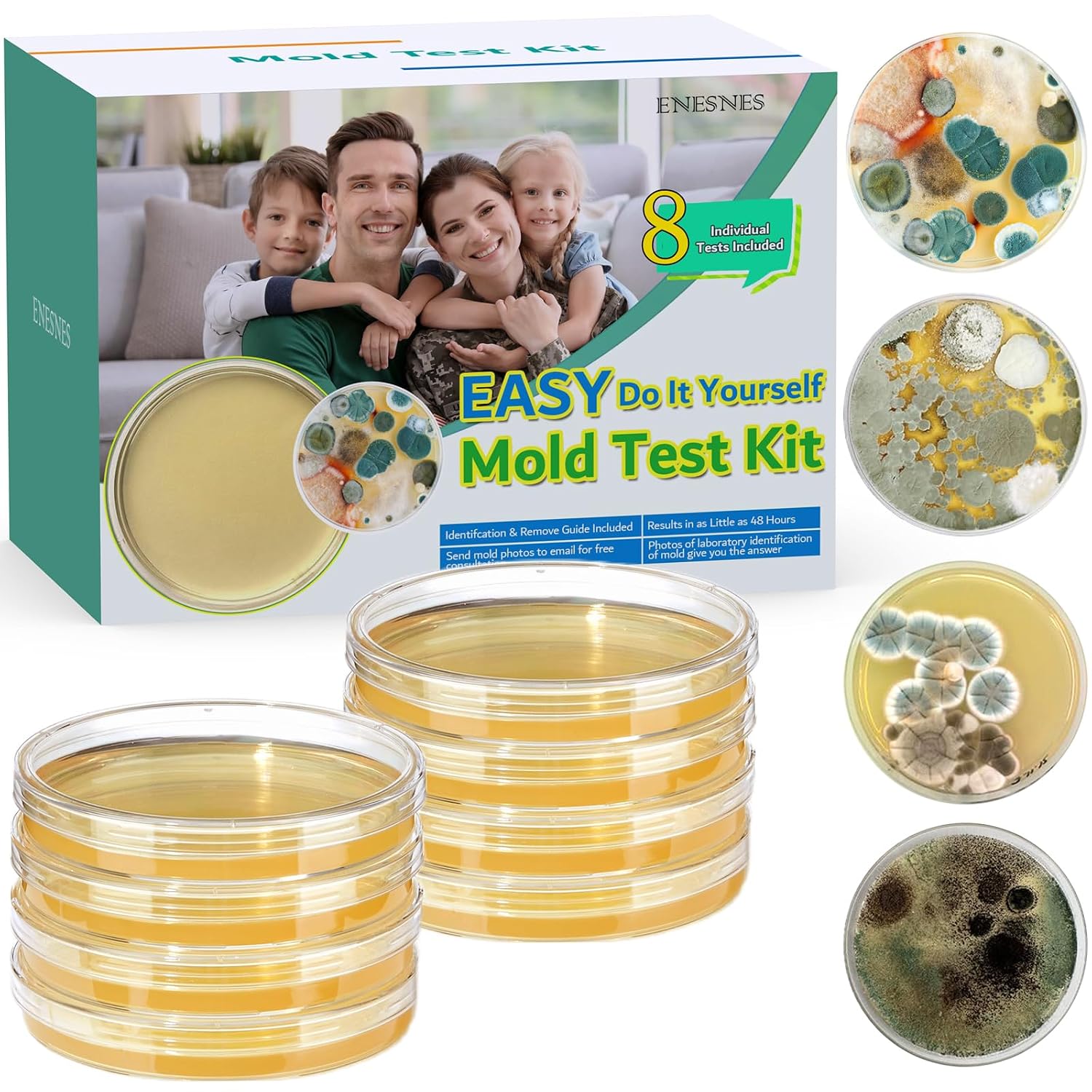 Home Mold Test Kit